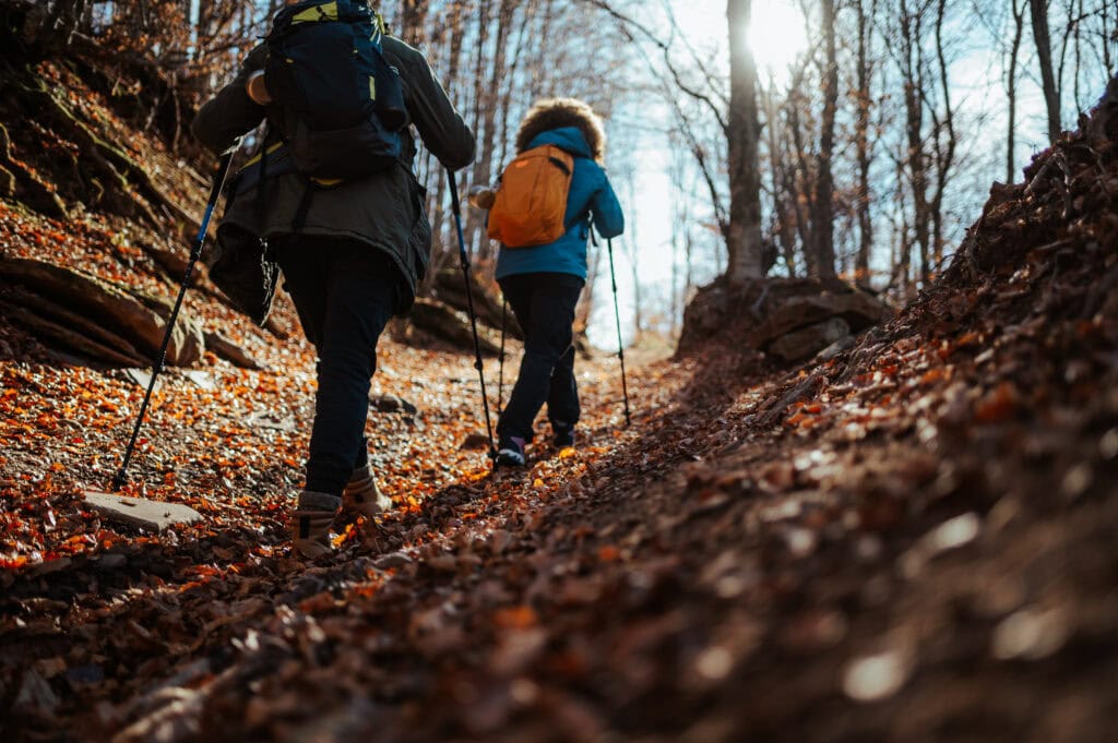 Two hikers navigating a steep trail blanketed in colorful fallen leaves, surrounded by the warm sunlight of an autumn forest